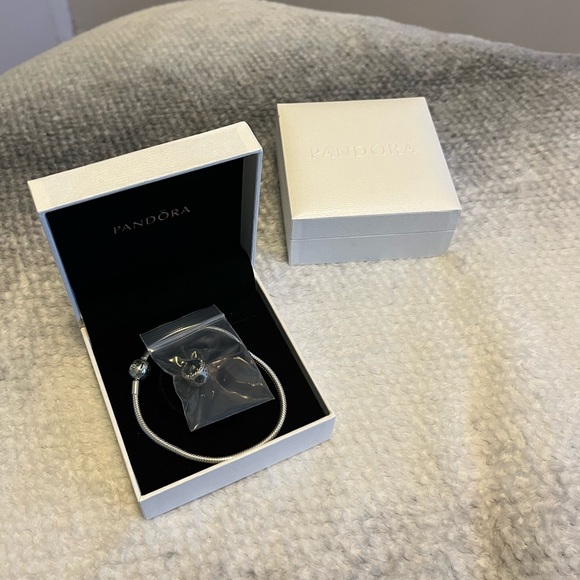 Pandora Silver Bracelet NO charm - Picture 3 of 3